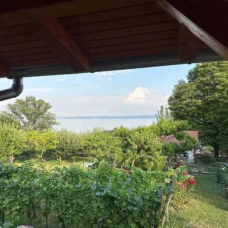 Domi Ház - Panoráma